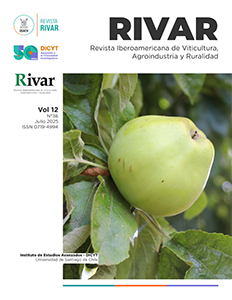 portada 36