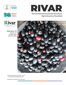 portada 37